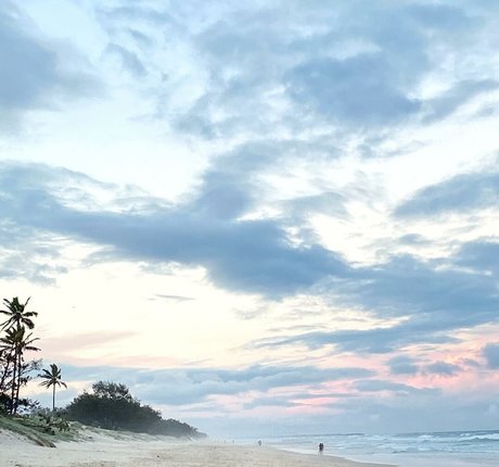 Desi Johnson étoile magnifique collection