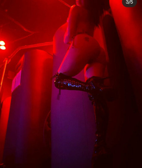 Felix Fang art étoile galeries