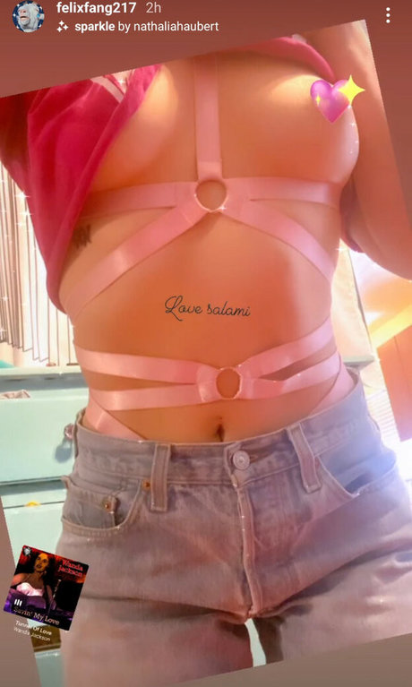 Felix Fang star du porno collection