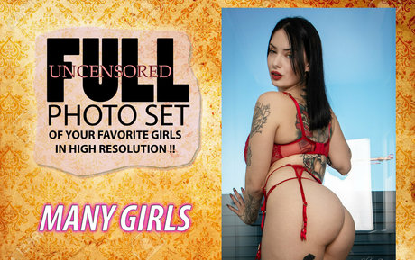 manygirlsfree star du porno en haute qualité des photos