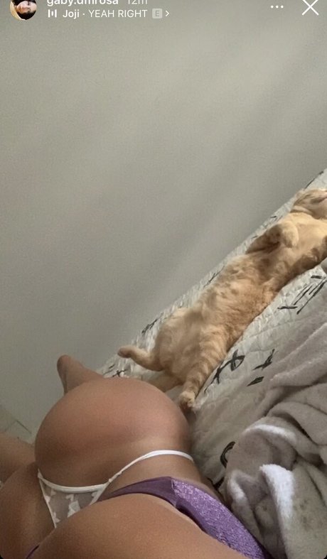 gaby dmrosa haut modèle image