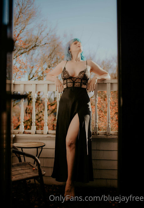 bluejayfree étoile hd img