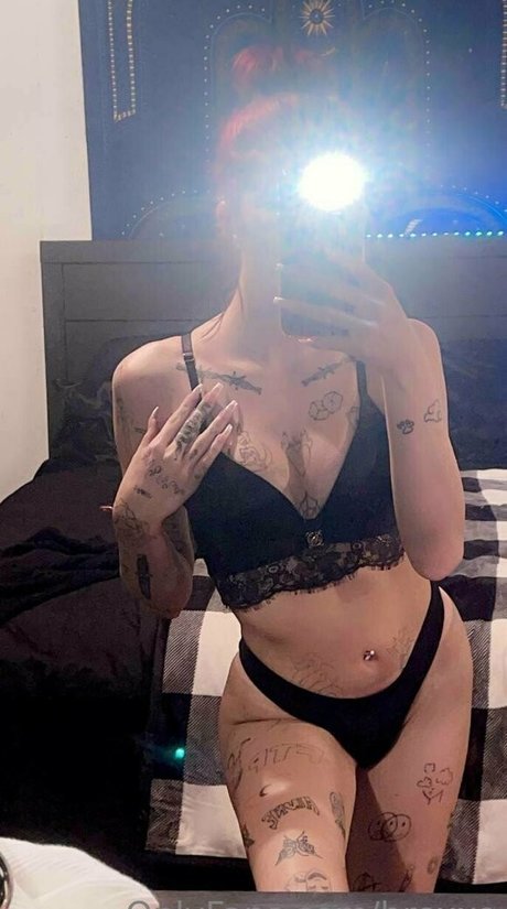 brexxo star exclusive image