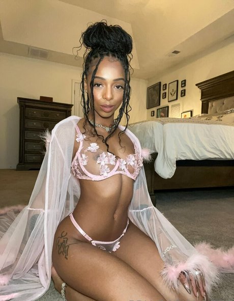 Briabackwoods étoile collection