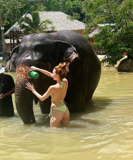 Fernanda Schneider nus de stars du porno image