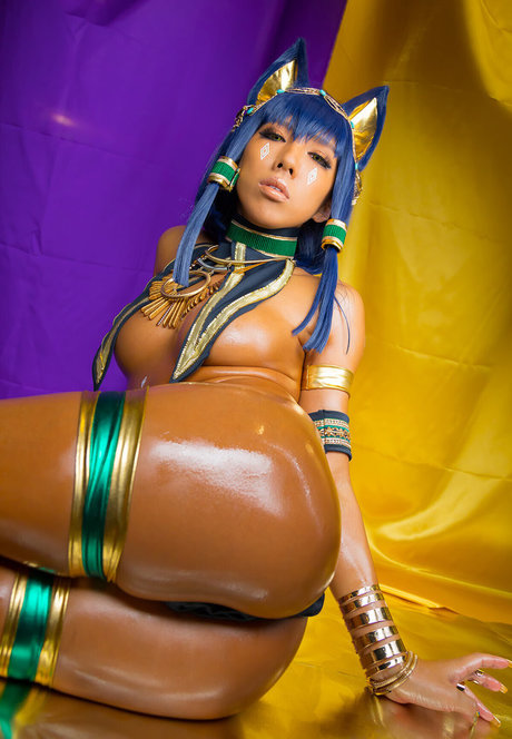 chaton potelé uniquementfans parfait sympa galerie