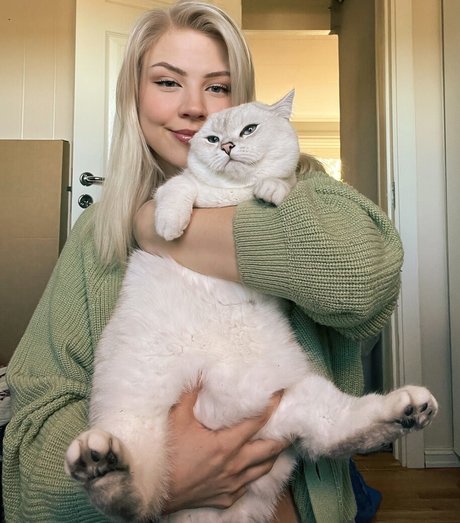 Majijej star du porno gratuite galeries