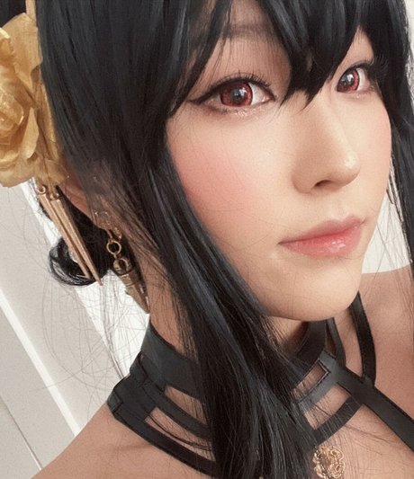 Aikuros étoile de haute qualité img