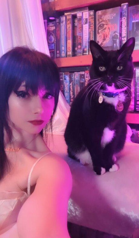 Yogscast Bouphe modèle parfait image