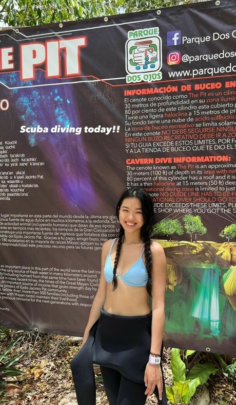 Nemsko étoile parfaite galeries