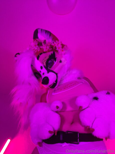 Lunarifox art de star du porno archive