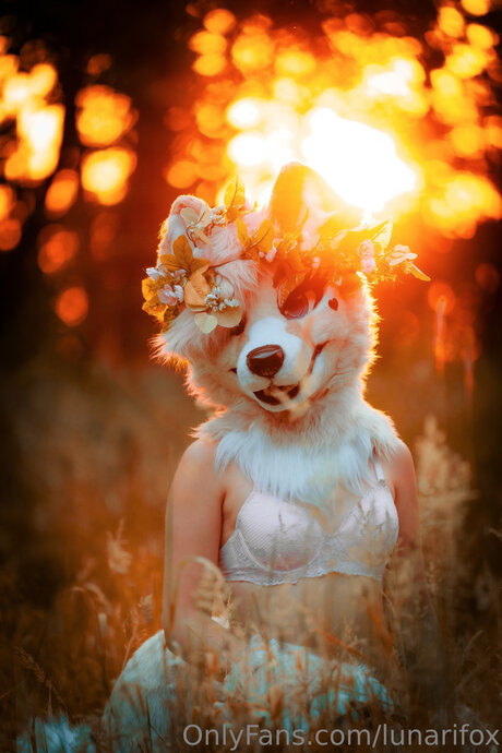 Lunarifox star du porno gratuite galerie