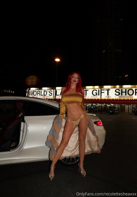 Nicolette Shea star du porno adulte galerie