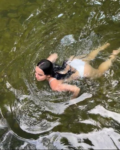 Vita celestine étoile img