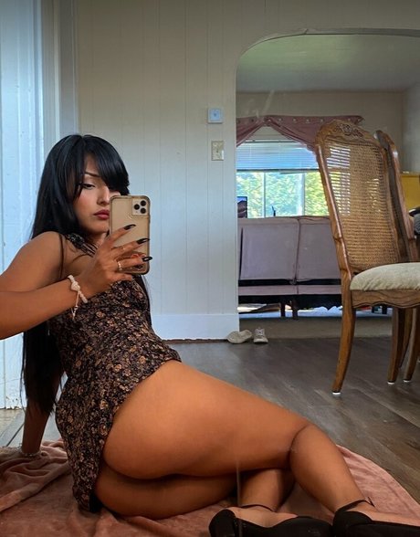 fans sud-africains uniquement belle haute qualité photos