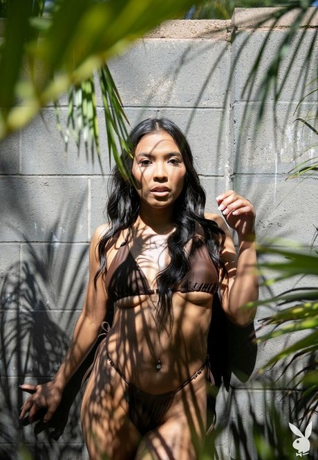 Jada Kai star du porno chaud archive