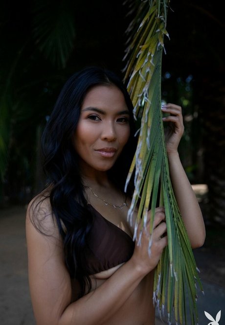 asmr pov uniquementfans haute définition érotique photo