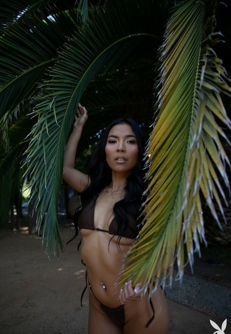 Jada Kai star du porno exclusive photos