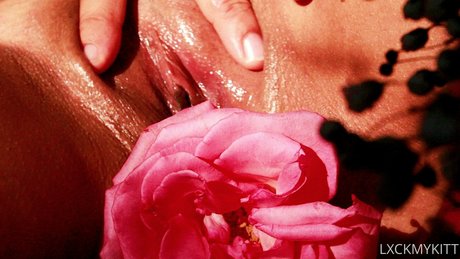 Lxckmykitt actrice libre collection