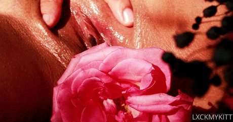 Lxckmykitt sexe de star du porno galerie
