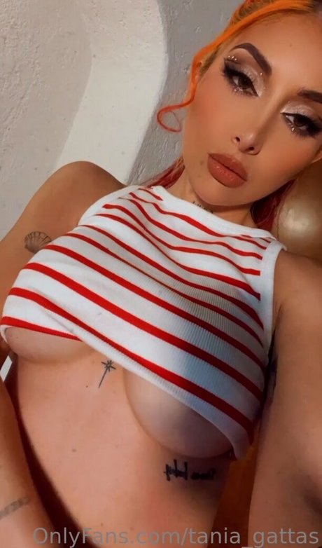 fans de hooters uniquement top jolie image