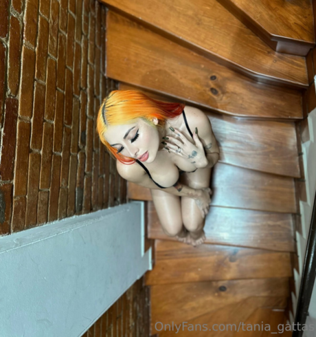 Tania Gattas actrice photos