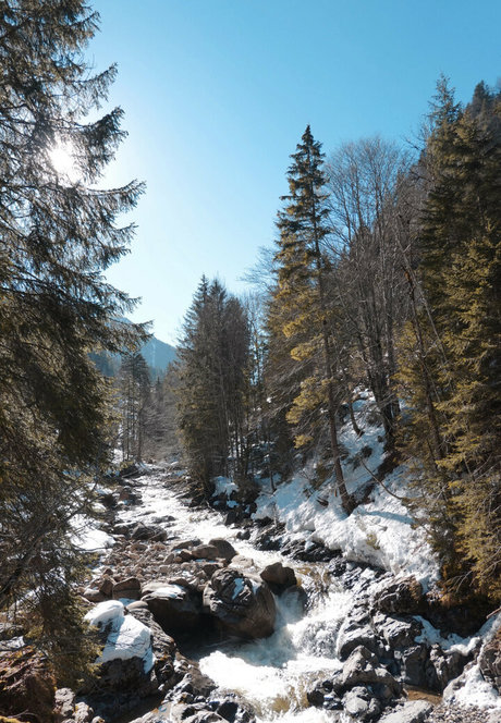 Alissa Noir meilleure star du porno images