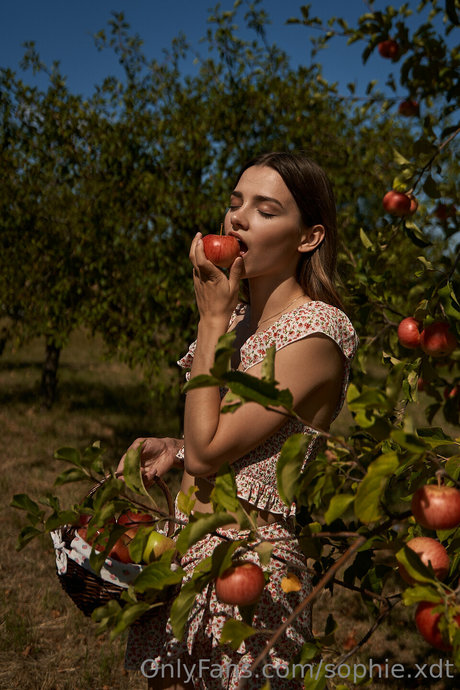 sophie xdt modèle exclusif galerie