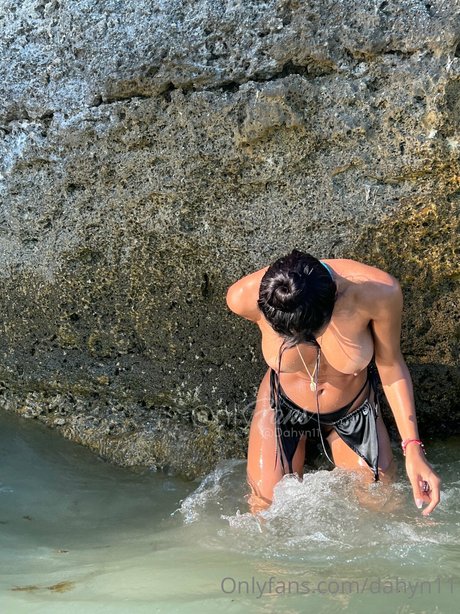 Dahyn star du porno chaude collection