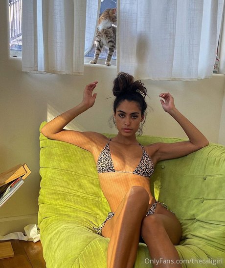 Undercover freak jolie actrice collection