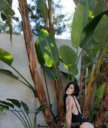 gros seins asiatiques onlyfans hd nue collection