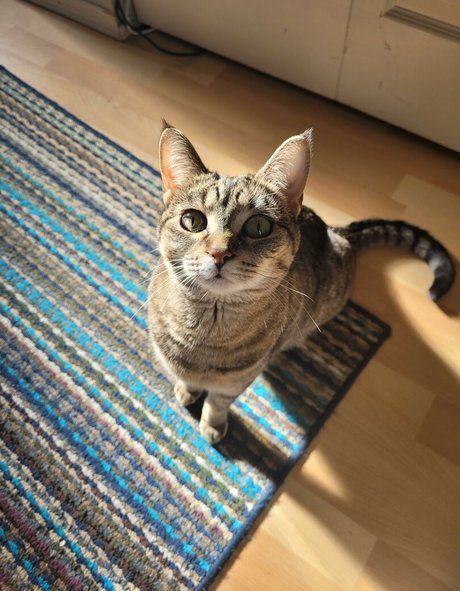 Midnight Vulpi meilleure actrice galerie