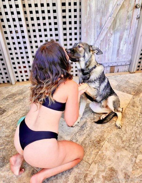 Wineoperator star du porno hd image