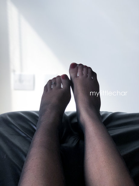 My little char star du porno collection