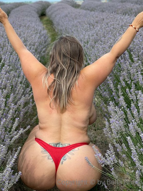 Bella Bodhi étoile gratuite image