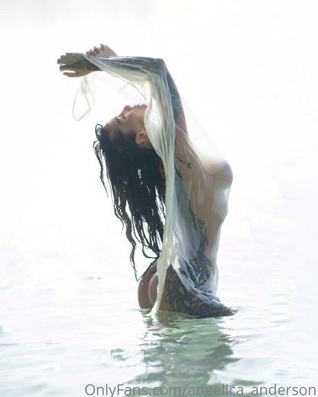 40 fans uniquement parfait exclusif image