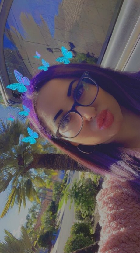 BREED ME PLEASE Fotoaufnahmen