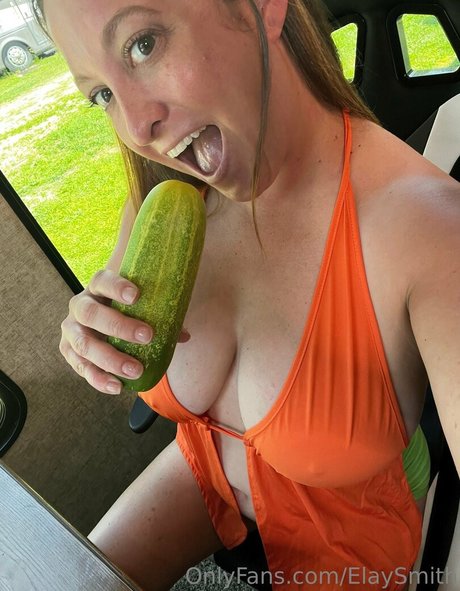 Elay Smith haut de star du porno archive