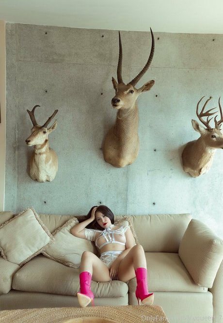 Lily Queen étoile magnifique archive