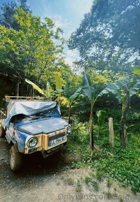 helga1 modèle sexy collection