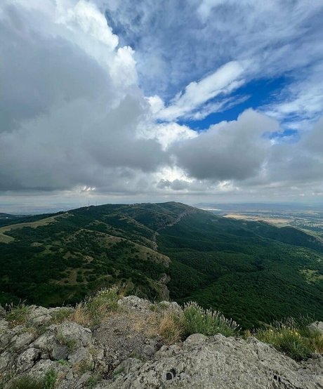 helga1 jolie star du porno images