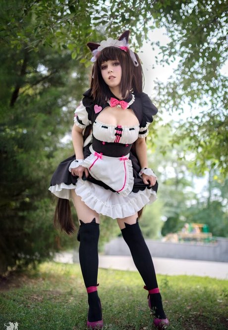 Fox Tsai Shen étoile magnifique collection