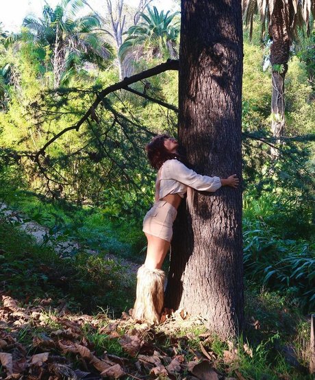 Pasabist étoile chaude archive