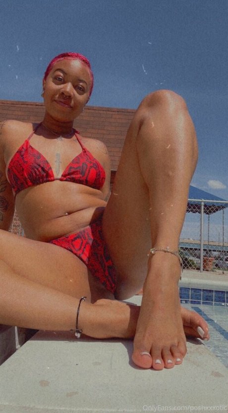 chanelmcqueen belle étoile images