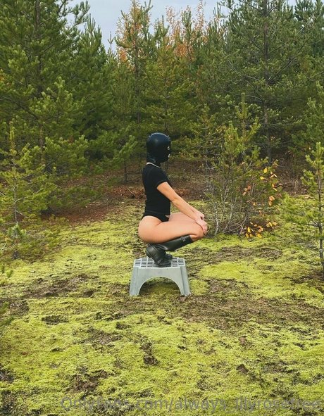 always lilyrosefree actrice porno image