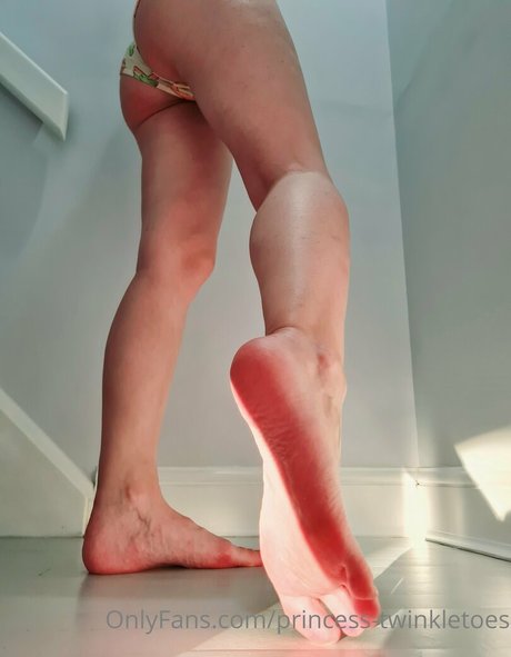 princess twinkletoes modèle parfait img