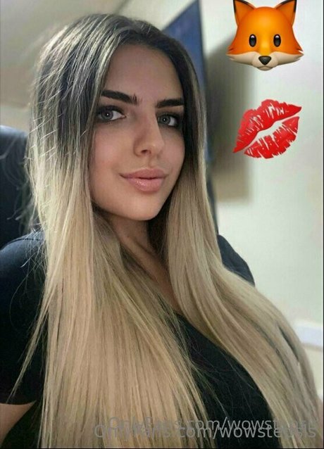 wowstepsis modèle gratuit galeries