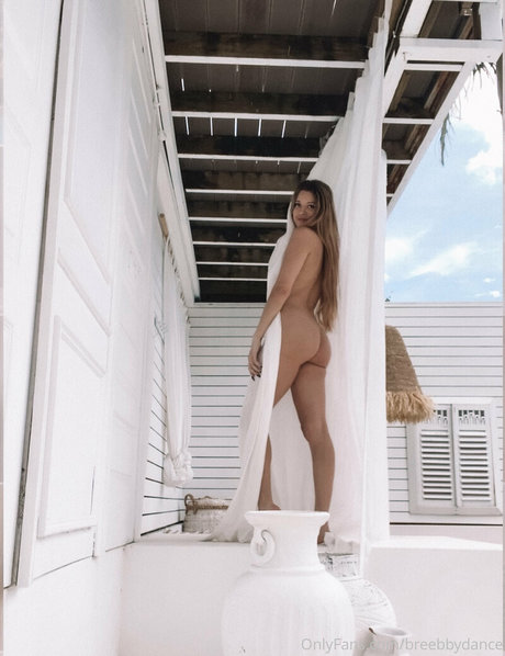 breebbydance sexe de star du porno collection