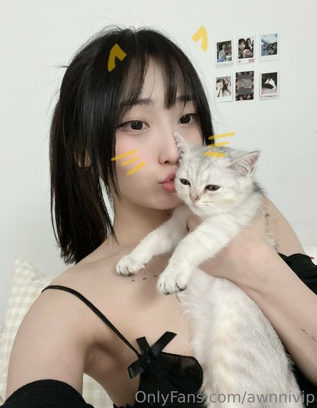 awnnivip art étoile image