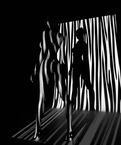 Voronina étoile parfaite img